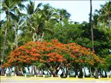 Balneario Boquerón - CABO ROJO